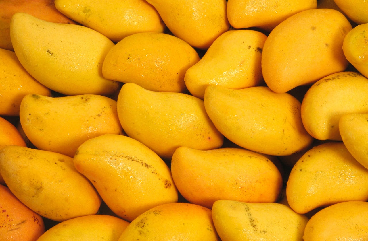 Fresh Philippine Carabao mangoes